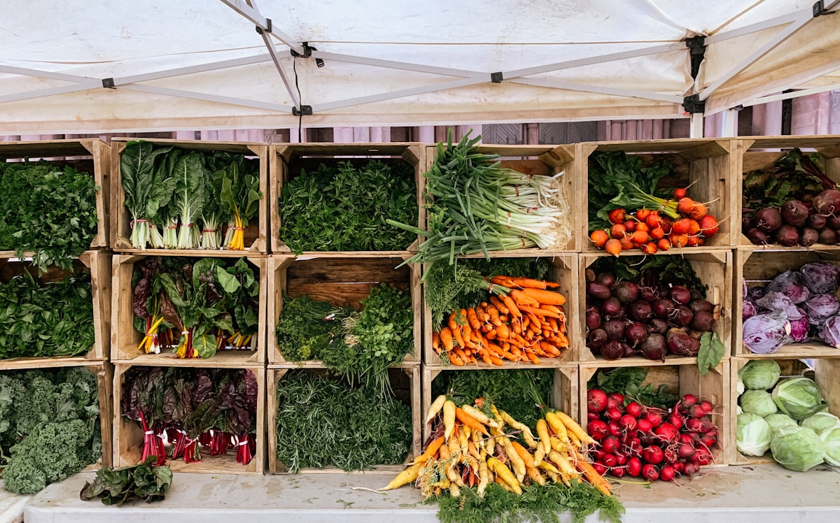 Seasonal meal planning and nutrition balance